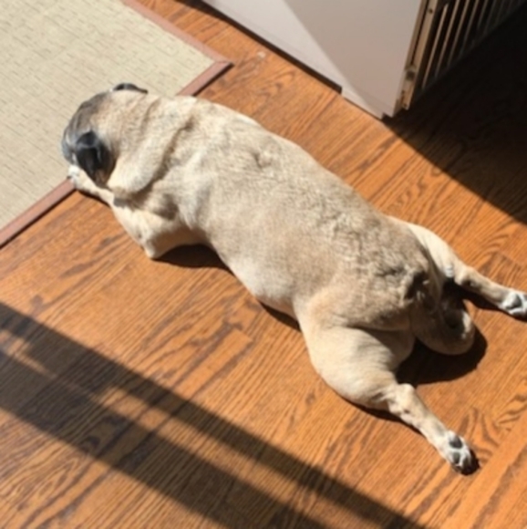 Meet your Posher, Tracy - Picture 4 of 7